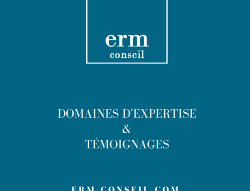 ERM Conseil – Domaines d’Expertise & Témoignages